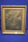A FRAMED OIL ON CANVAS DEPICTING BIRDS SIGNED M R