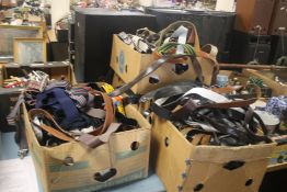 A LARGE QUANTITY OF ASSORTED BELTS (TRAYS NOT INCLUDED),br.