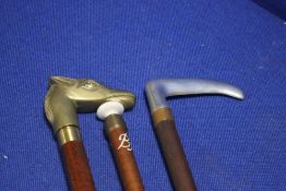 THREE WALKING CANES