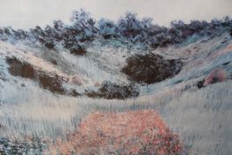 A COLLECTION OF ASSORTED PICTURES AND MIRRORS