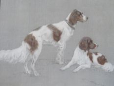 H.A. CAMERON-ROSE (XIX-XX). Study of two spaniels, signed lower right, mixed media on paper laid