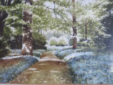 TERRY BAILEY (XX). A pair of 20th century landscapes 'Summer on the River Walkham' and 'Bluebells at