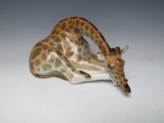 A LARGE USSR CERAMIC RECUMBENT GIRAFFE, printed marks to base, H 13.5 cm, W 26.5 cm