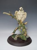 A COUNTRY ARTISTS LIMITED EDITION 'ARTIC PRINCE' GYR FALCON, H 32 cm