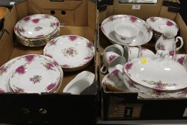TWO TRAYS OF CZECH REPUBLIC TEA AND DINNERWARE