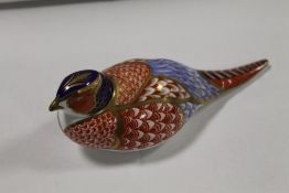 A ROYAL CROWN DERBY PHEASANT PAPERWEIGHT WITH SILVER STOPPER