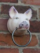 ***A PIG HEAD WITH METAL RING**