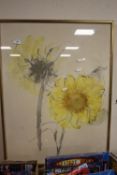 A FRAMED AND GLAZED WATERCOLOUR DEPICTING A SUNFLOWER