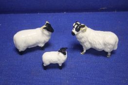 THREE BESWICK SHEEP