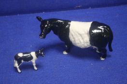A BESWICK BELTED GALLOWAY TOGETHER WITH A BESWICK FRESIAN CALF
