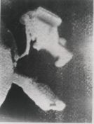 The world's first spacewalk, Alexei Leonov weightless in outer space, Voskhod 2, 19 Mar 1965