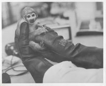 Miss Baker, the first animal to survive a spaceflight, Mercury Programme, 28 May 1959