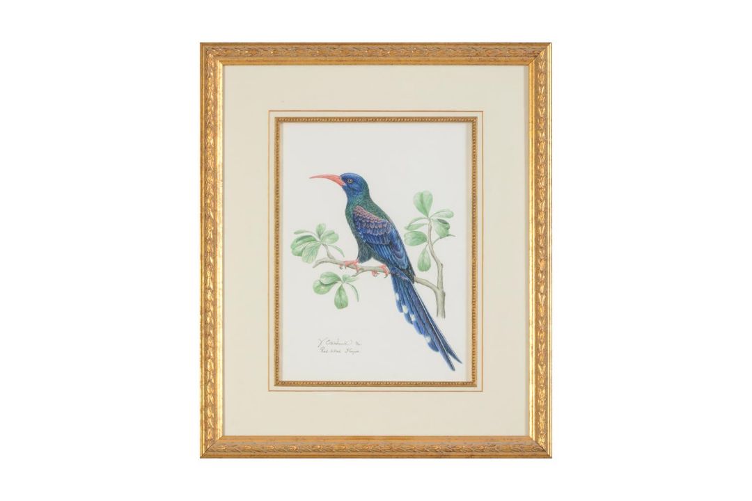 VALERIE ETTERSHANK (SOUTH AFRICAN 20TH/21ST CENTURY),TROPICAL BIRDS - Image 3 of 8