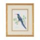 VALERIE ETTERSHANK (SOUTH AFRICAN 20TH/21ST CENTURY),TROPICAL BIRDS - Image 3 of 8