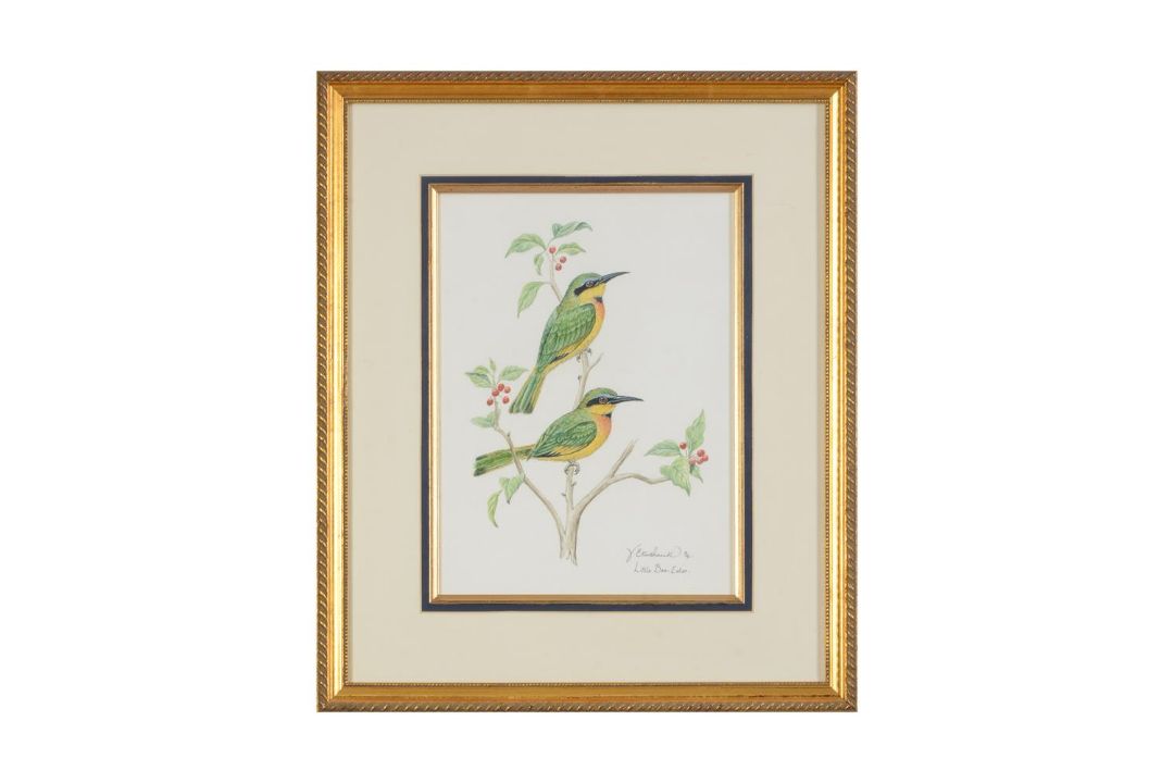 VALERIE ETTERSHANK (SOUTH AFRICAN 20TH/21ST CENTURY),TROPICAL BIRDS - Image 2 of 8