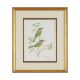 VALERIE ETTERSHANK (SOUTH AFRICAN 20TH/21ST CENTURY),TROPICAL BIRDS - Image 2 of 8
