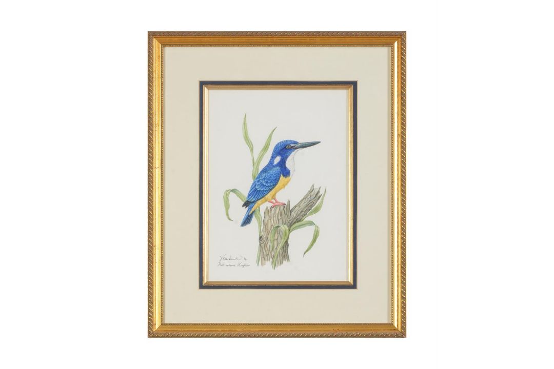 VALERIE ETTERSHANK (SOUTH AFRICAN 20TH/21ST CENTURY),TROPICAL BIRDS - Image 8 of 8