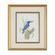 VALERIE ETTERSHANK (SOUTH AFRICAN 20TH/21ST CENTURY),TROPICAL BIRDS - Image 8 of 8