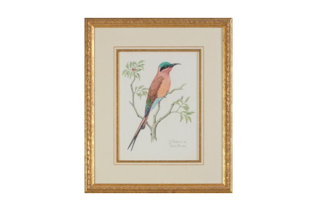 VALERIE ETTERSHANK (SOUTH AFRICAN 20TH/21ST CENTURY),TROPICAL BIRDS - Image 7 of 8