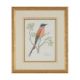VALERIE ETTERSHANK (SOUTH AFRICAN 20TH/21ST CENTURY),TROPICAL BIRDS - Image 7 of 8