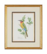 VALERIE ETTERSHANK (SOUTH AFRICAN 20TH/21ST CENTURY),TROPICAL BIRDS
