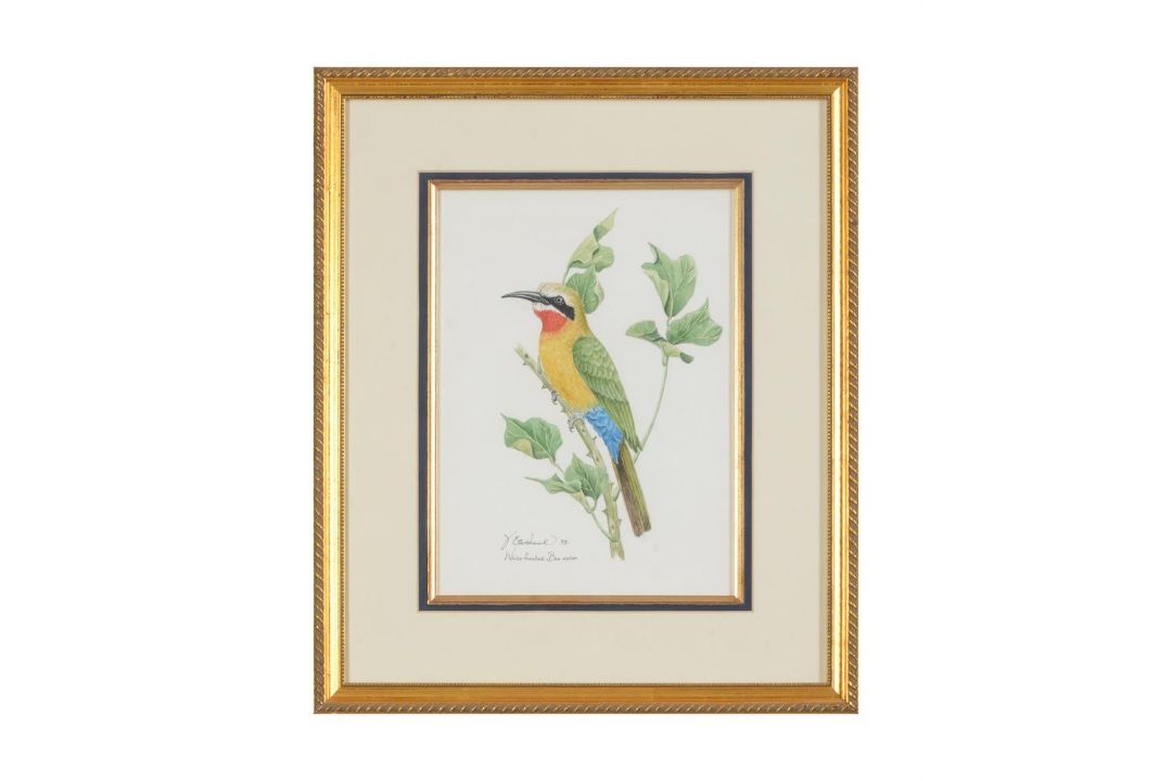 VALERIE ETTERSHANK (SOUTH AFRICAN 20TH/21ST CENTURY),TROPICAL BIRDS - Image 1 of 8