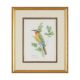VALERIE ETTERSHANK (SOUTH AFRICAN 20TH/21ST CENTURY),TROPICAL BIRDS - Image 1 of 8