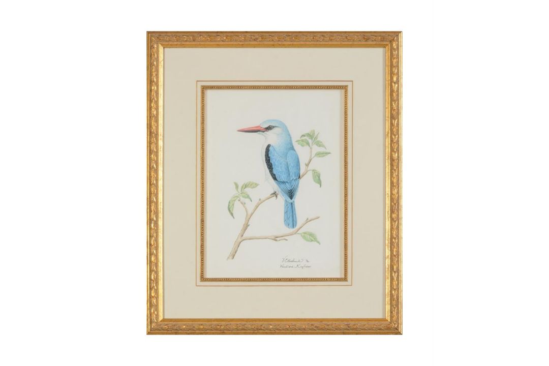 VALERIE ETTERSHANK (SOUTH AFRICAN 20TH/21ST CENTURY),TROPICAL BIRDS - Image 5 of 8