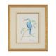 VALERIE ETTERSHANK (SOUTH AFRICAN 20TH/21ST CENTURY),TROPICAL BIRDS - Image 5 of 8