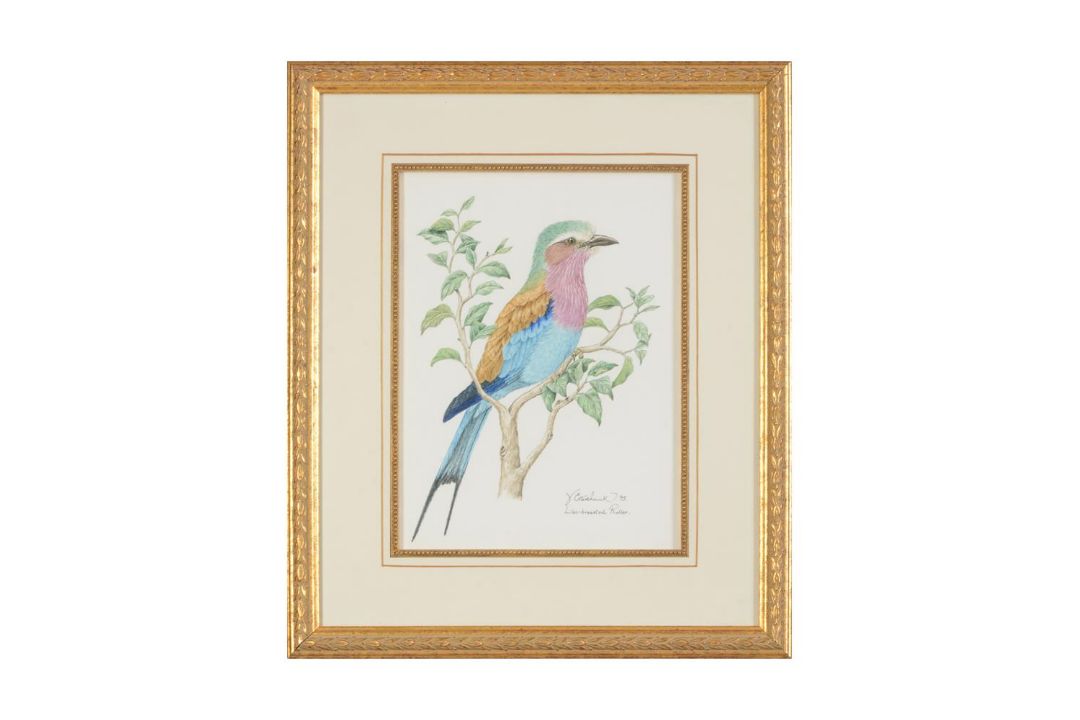 VALERIE ETTERSHANK (SOUTH AFRICAN 20TH/21ST CENTURY),TROPICAL BIRDS - Image 4 of 8