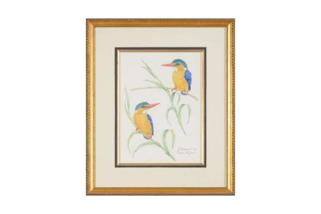 VALERIE ETTERSHANK (SOUTH AFRICAN 20TH/21ST CENTURY),TROPICAL BIRDS - Image 6 of 8