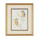 VALERIE ETTERSHANK (SOUTH AFRICAN 20TH/21ST CENTURY),TROPICAL BIRDS - Image 6 of 8