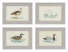 A SET OF TWELVE DECORATIVE PRINTS OF WATER BIRDS
