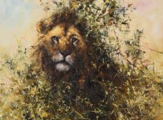 λ TONY FORREST (BRITISH B. 1961), FOUR PICTURES OF WILDLIFE