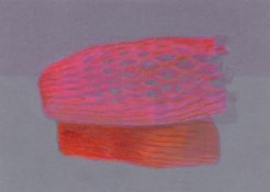 Zara Matthews, Mesh (Study-Orange), 2022