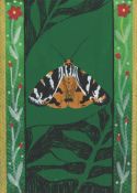 Aleesha Nandhra, Jersey Tiger Moth, 2022