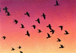 STMTS, Take a look in the sky pt.2, 2022