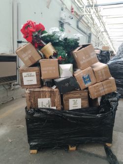 1 Pallet of 12 New Christmas Trees - Various Sizes