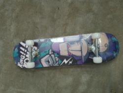 1 Pallet containing 60 New Skateboards