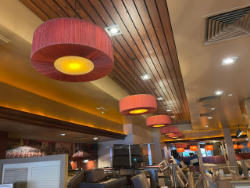 12 restaurants ceiling lights - Removed from Garfunkels London - All in good working order