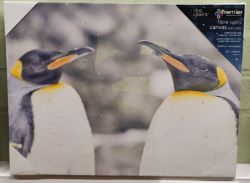 18 x Fibre Optic Canvas with LEDs - 3 different designs - 30 x 40cm approx. - Battery operated