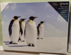 18 x Fibre Optic Canvas with LEDs - 3 different designs - 30 x 40cm approx. - Battery operated