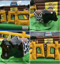 Rodeo Bull - With Inflatable Bed - Inbuilt Sound System