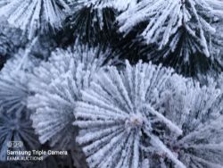 (L114) - 1 Pallet Containing Approx 6 Brand New artificial Xmas trees snow effect