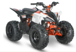 BRAND NEW STOMP RAGING BULL AT110 ATV QUAD