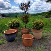 Five terracotta planters, various styles