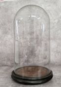 A Victorian glass dome on stand 41cm high, excellent condition.