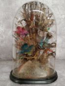 Taxidermy - A Victorian taxidermy display of exotic birds amongst foliage c.1900