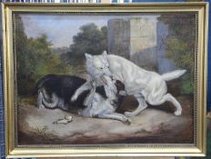 ENGLISH NAIVE SCHOOL DOG FIGHT
