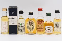 Twelve assorted single Highland malt whisky miniatures